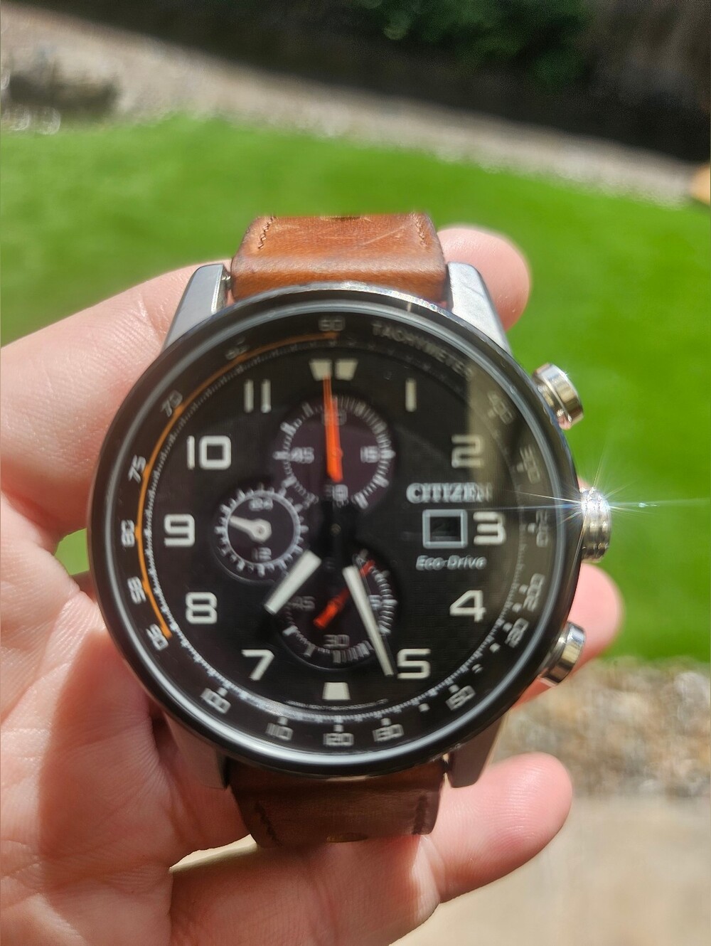 Citizen Primo Chronograph watch with a stainless steel case and a brown leather